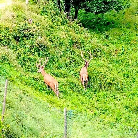 Lägenhet Cascina Del Galin 2